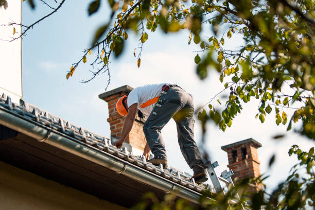Best Roof Gutter Cleaning  in Wurtland, KY